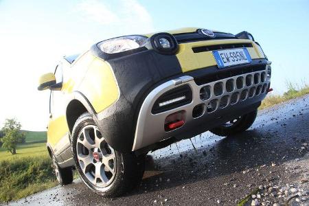 Fiat Panda Cross, Almabtrieb, Impression