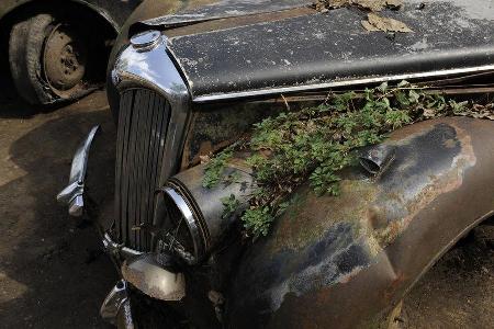 Auto-Friedhof