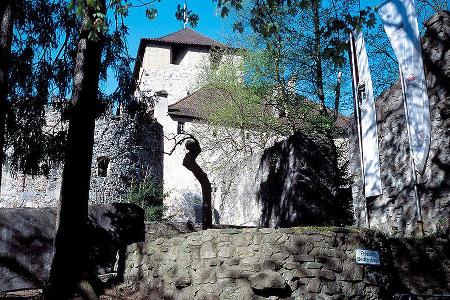 Schattenburg, Feldkirch