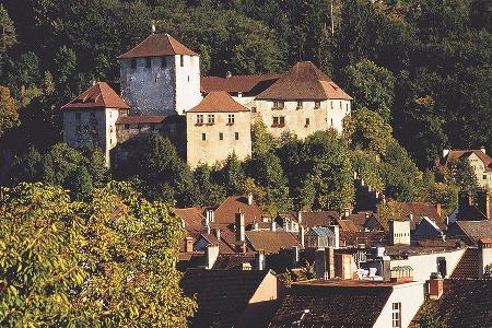 Feldkirch mit der Schattenburg