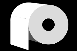 papertoilet.PNG