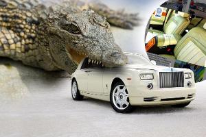 Rolls-Royce Phantom Krokodil Leder illegal konfisziert Italien