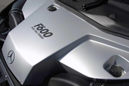 Vergessene Studien: Mercedes F 600 Hygenius (2005)