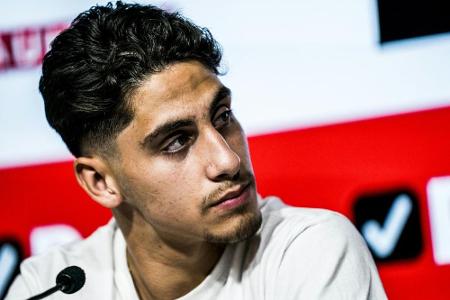 HSV verpflichtet Niederländer Reis