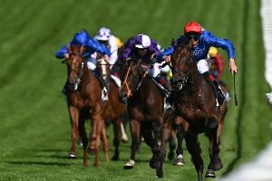 Torquator Tasso ist Galopper des Jahres