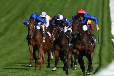 Torquator Tasso ist Galopper des Jahres