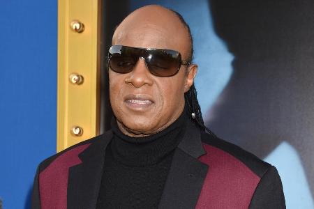 Stevie Wonders Kinderschar ist noch nicht zweistellig