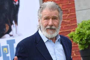 Harrison Ford ist das Gesicht der "Indiana Jones"-Reihe.