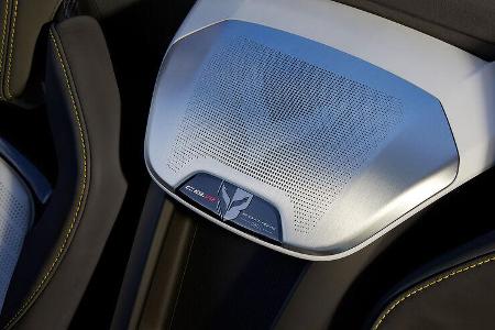 06/2021, 2022 Chevrolet Corvette C8 Stingray IMSA GTLM Championship Edition