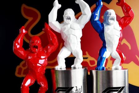 Red Bull - Formel 1 - GP Frankreich 2021