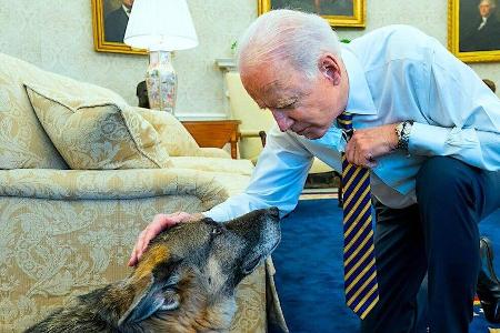 Joe Biden und sein verstorbener Hund Champ.