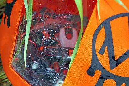 Greenpeace klaut VW-Schlüssel in Emden