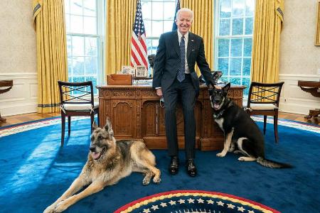 Joe Biden mit seinen Hunden im Weißen Haus