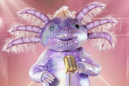 Das Axolotl wird neben der Chili oder dem Mops auf der 