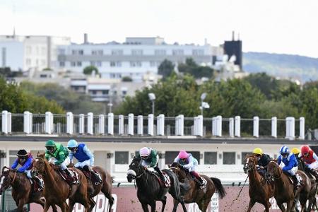 Galopp: Torquator Tasso im Arc Außenseiter