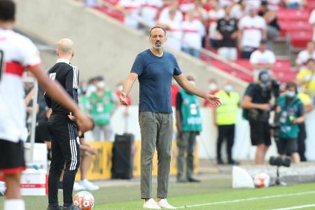 Matarazzo: VfB-Profis haben 