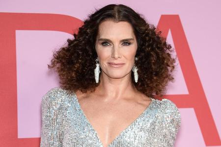 Schauspielerin Brooke Shields kann ihre Abstammung bis zum König Henry IV. zurückverfolgen. Doch ihr gemeinsamer Verwandter ...