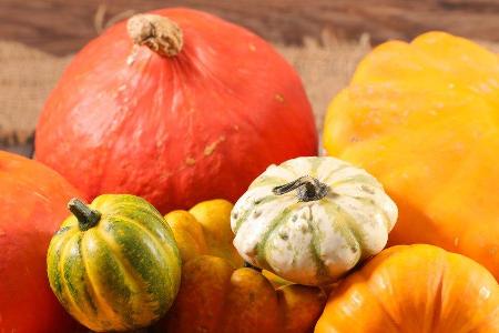 Kürbisse haben im Herbst Saison und landen bei vielen regelmäßig auf dem Tisch.