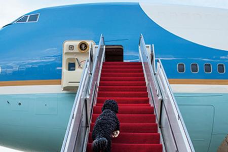 Fehlen dürfen auf den Aufnahmen aber auch Obamas vierbeinige Begleiter nicht: Hier besteigt Bo die Air Force One (Mai 2010).