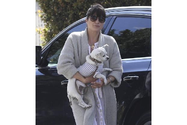 ...der Hund also keine ausgewachsene Dogge sondern ein kleines Tier ist, das man bei jeder Gelegenheit in seine Arme schließ...