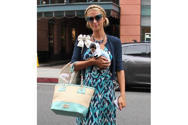 ...einer Paris Hilton egal. Die Hotelerbin ist ja mittlerweile bekannt für ihre Mini-Hunde, die wahrscheinlich niemals die A...