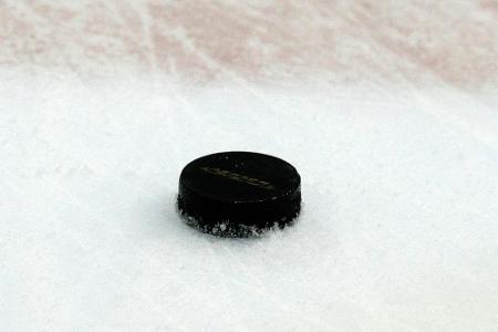 DEL: Augsburg holt Angreifer Nehring