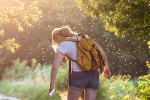 Im Sommer 2021 droht eine Mückenplage. (Symbolbild)