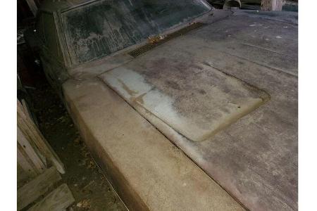 Dodge Charger Scheunenfund