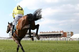 Galopp: Alpinista gewinnt Preis von Europa