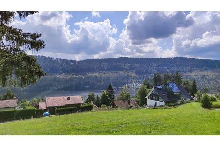 Praxistest Tonke Van XL (2022)