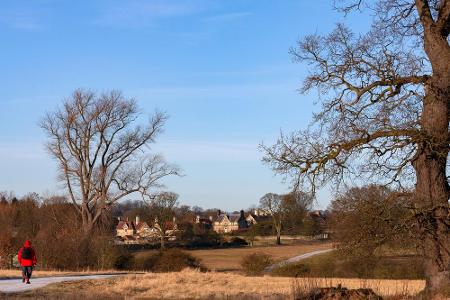 Das Dorf, welches der Herzog und die Herzogin des Öfteren besuchen, befindet sich ganz in der Nähe. Coneysthorpe heißt der k...