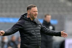 Kämpferischer Dardai nach Hertha-Quarantäne: "Wir haben alles in unserer Hand"