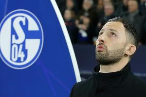 Tedesco warnt Schalke vor der zweiten Liga:  "Vor allem muss man Eier und Mentalität haben"