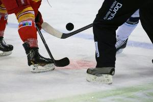 DEL: Wichtige Siege für Straubing und Wolfsburg