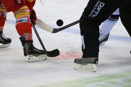 DEL: Wichtige Siege für Straubing und Wolfsburg