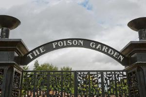 Der "Poison Garden" von Alnwick liegt in Northumberland im Nordosten Englands.