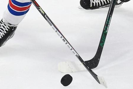 DEL drängt auf mehr Zuschauer in Bayern und hofft auf wirtschaftliche Entspannung