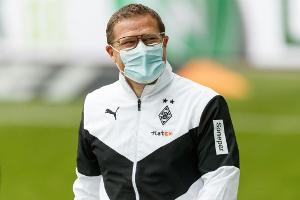 Gladbach will wieder nach Europa