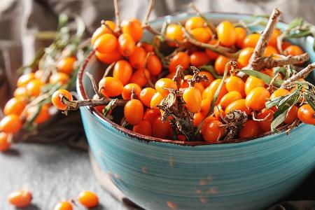 Sanddorn mangelt es nicht an Vitamin C