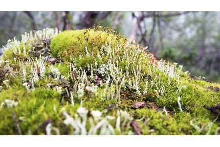 Wohnmobil-Reise Norwegen