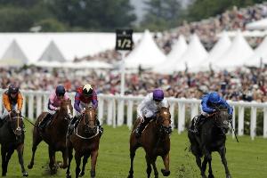 Galopp: Alpinista gewinnt Großen Preis von Berlin