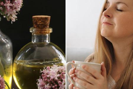 Die Baldrianwurzel lässt sich ganz einfach zu Tee verarbeiten.