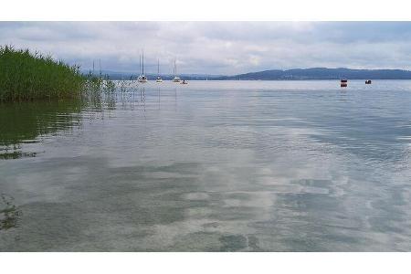 Naturcamping Litzelstetten Mainau