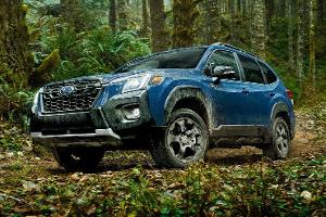 Subaru Forester Wilderness