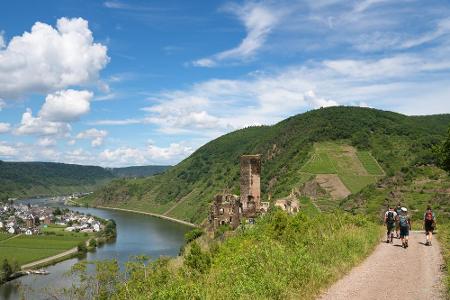 Mit seinen 365 Kilometern kann sich auch der Moselsteig sehen lassen. Von Schengen bis nach Koblenz schlängelt sich der Weg ...