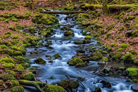 2010 erhielt der Hochrhöner die Auszeichnung 
