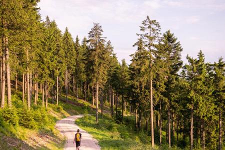 Wer Ruhe sucht, ist auf dem Rennsteig genau richtig. Während der 170 Kilometer durchqueren Wanderer den Thüringer Wald. Star...