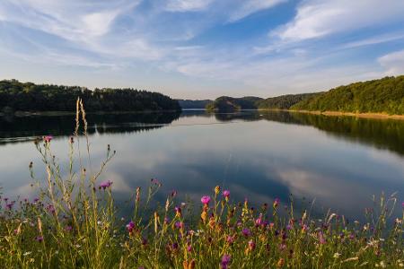 Erst 2011 wurde der Natursteig Sieg eröffnet. Auf 14 Etappen können sich Naturbegeisterte an Bächen, Burgruinen und malerisc...