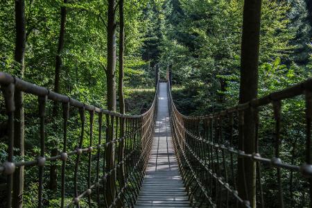 Mit 156,8 Kilometer wartet der Rothaarsteig auf. Der Name kommt nicht von ungefähr: Der 