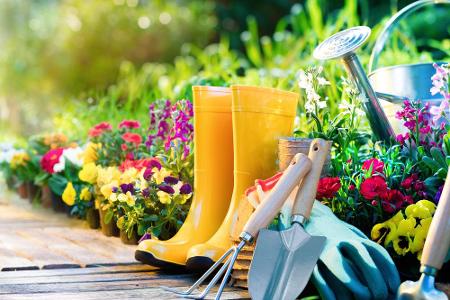 Welche Pflanze wächst hier? Wann wächst welche Gemüsesorte? Oder wie beugt man einem Schädlingsbefall vor? All diese Fragen ...